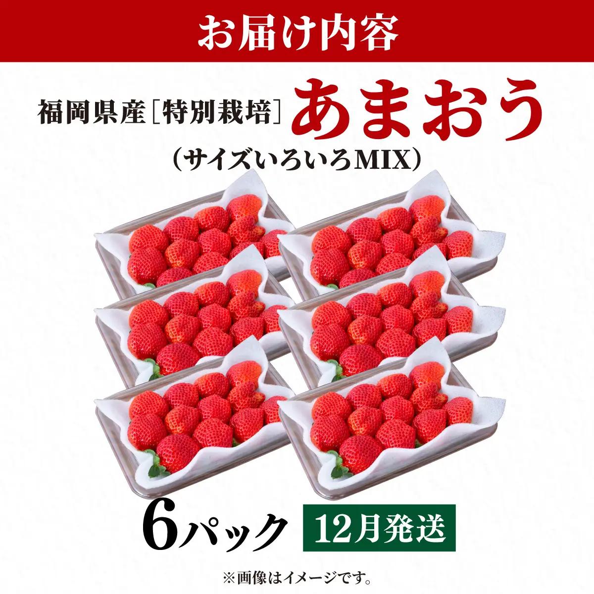 いちご 福岡県産 特別栽培 あまおう サイズいろいろMIX 約1710g（約285g×6パック）【12月発送】| 農園直送 アフター保証 先行予約 福岡産 送料無料 ケーキ ギフト お祝い 限定 季節