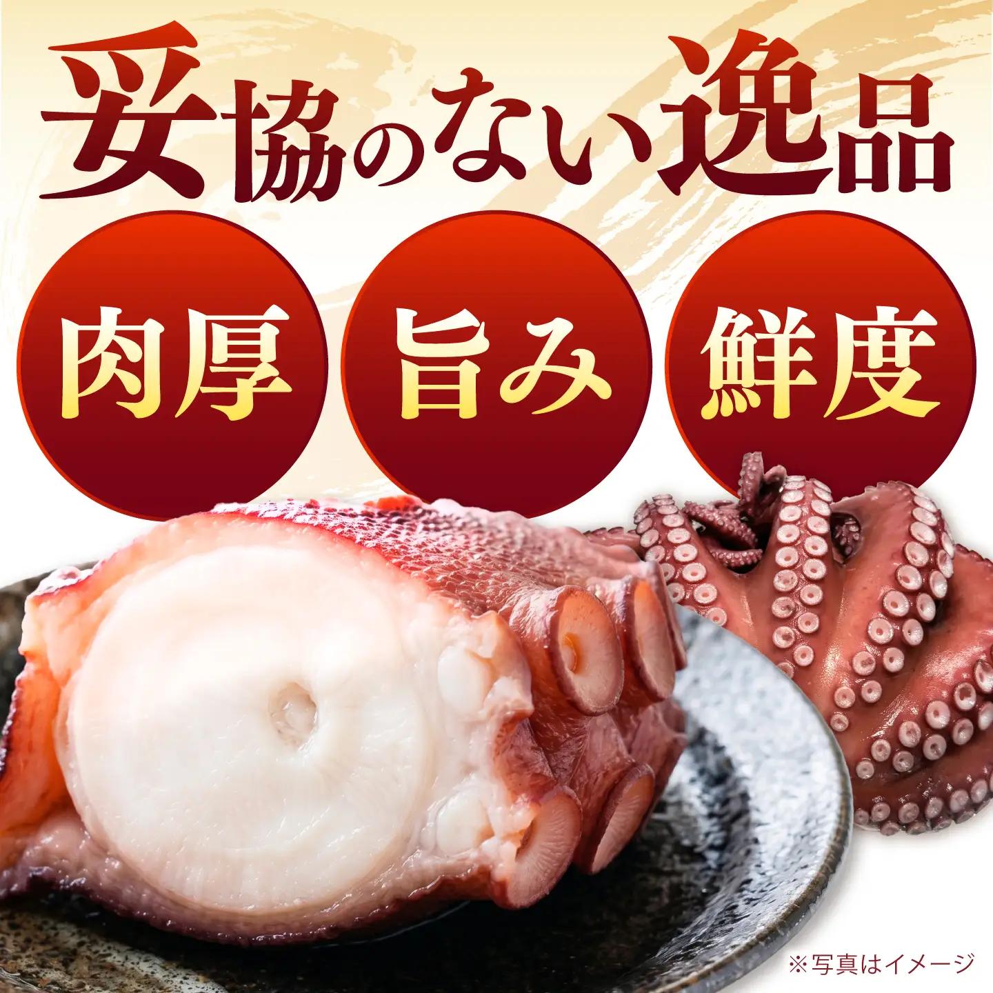 【肉厚、極上の旨味】冷凍ボイルタコ 約800g / タコ たこ 蛸 ボイル ボイルタコ 冷凍 冷凍タコ 丸蛸 丸ごと 産地直送 / 諫早市 / 橘湾中央漁業協同組合[AHDP006]