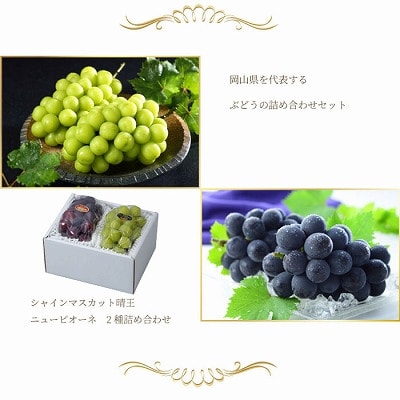 【2025年7月発送】岡山県産　シャインマスカット 晴王・ニューピオーネ　Lサイズ　詰合せ【配送不可地域：離島・北海道・沖縄県】【1308717】