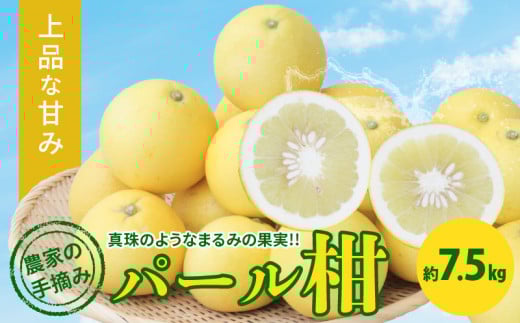 S040-022_農家の手摘み パール柑 約7.5kg〈先行受付〉