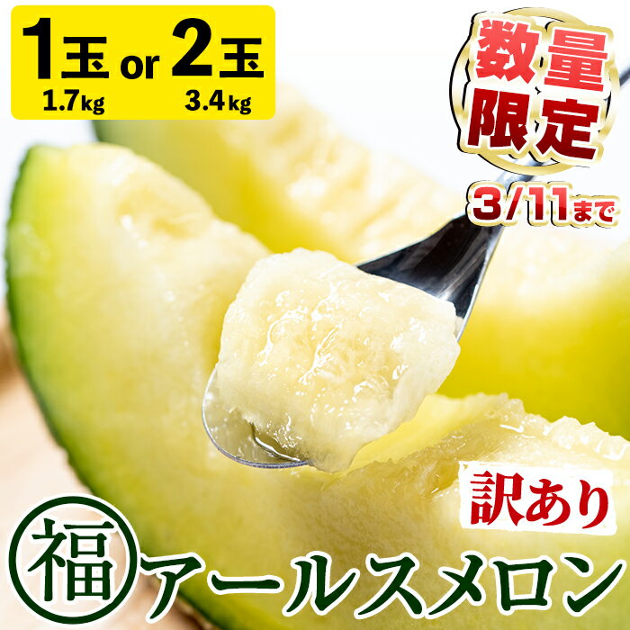 【ふるさと納税】【期間限定・数量限定】＜訳あり＞マル福の高級アールスメロン(大玉1玉・1.7kg/大玉2玉・計3.4kg) 容量選べる メロン フルーツ 果物 果実 旬 訳あり 訳アリ 1キロ 3キロ 数量限定 期間限定 【マル福園芸組合】【0101117a】【0191118a】