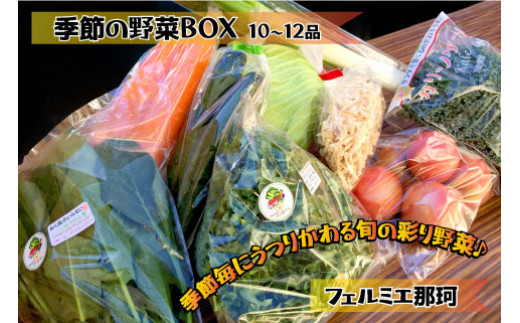 フェルミエ 野菜BOX10～12品 旬野菜 セット 新鮮 トマト 大根 じゃがいも ほうれん草 きゅうり かぼちゃ ナス ピーマン ブロッコリー とうもろこし たまねぎ レタス 旬 厳選 食材 産地直送 季節 野菜詰合わせ おまかせ