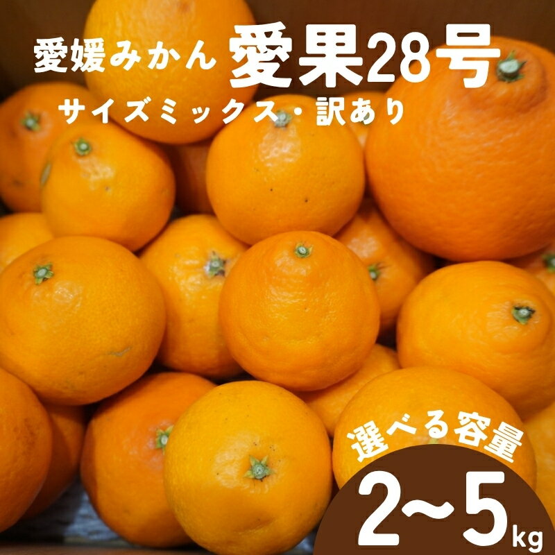 【ふるさと納税】訳あり みかん 愛果28号 【選べる容量】 2kg 5kg サイズミックス 【2026年12月中旬から順次発送予定】 紅まどんなと同一品種 愛媛 数量限定 先行予約 柑橘 伊予市