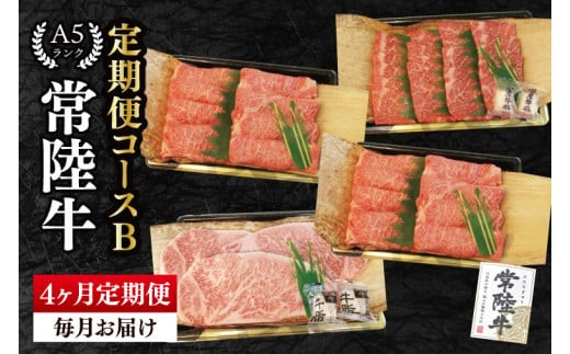 
                  【4ヶ月定期便】A5ランク常陸牛 食べ比べ 定期便コースB 冷凍 国産牛 和牛 牛肉 豚肉 ブランド豚 食べ比べ お取り寄せ 老舗精肉店 肉の加治 茨城県 水戸市（EK-79）
                