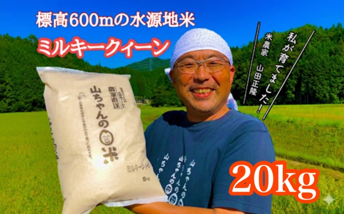 546. 農家直送「山ちゃんのお米」ミルキークイーン20kg
