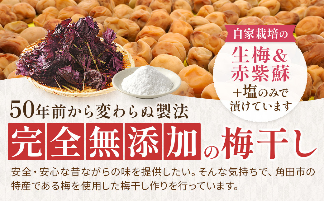 【ふるさと納税】宮城県角田産【無添加】まごころ手作り練り梅(150g)×3個