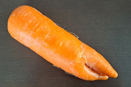 [産地直送！訳あり] 加藤農園の甘楽町産にんじん 10kg｜訳あり品 人参 ニンジン 野菜 キャロット 国産 新鮮 農家直送 産地直送 煮物 かき揚げ 甘楽町 数量限定 期間限定 [0318]