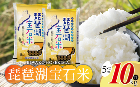 米 10kg お米 琵琶湖宝石米 こめ コメ おこめ 白米 精米 B-G10 中川吉兵衛商店 東近江