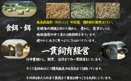 【定期便6回】【牧場直送】佐賀牛ハンバーグステーキ 8個 ：C117-043