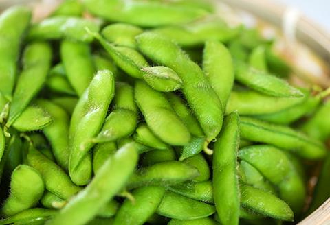 75E-12新潟県長岡産枝豆2.0kg【越一寸250g×8袋入り】