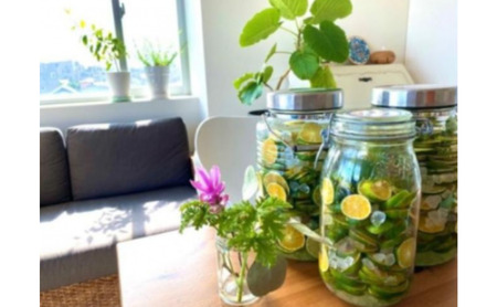 神奈川SDG's　青ミカンROCKビタースカッシュ　６本セット