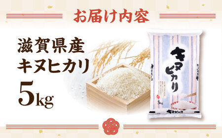 【令和7年産新米】特別栽培米 キヌヒカリ 5kg 白米 滋賀県長浜市/株式会社コメック[AQDH003]