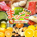 【ふるさと納税】【12回定期便】まるごとそのぎ定期便 東彼杵町/株式会社彼杵の荘[BAU092]