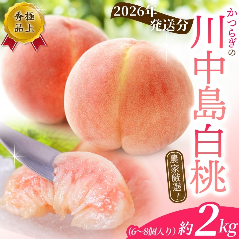 先行予約！【モモ】川中島白桃　約2kg 6〜8個入【2026年7月末頃から順次発送】【秀品】こだわり農家厳選 【KG13】【BK013-kgr011A】