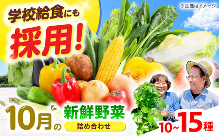 高槻野菜おまかせ詰め合わせセット 10月（10種〜15種）[AOCS016]野菜セット