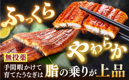 極上国産うなぎ四万十桜 蒲焼き4尾 たっぷり大サイズ / 国産 高知 四万十 うなぎ ウナギ 鰻 蒲焼き うな重 惣菜 贅沢 【有限会社もりた】 [ATHE003]