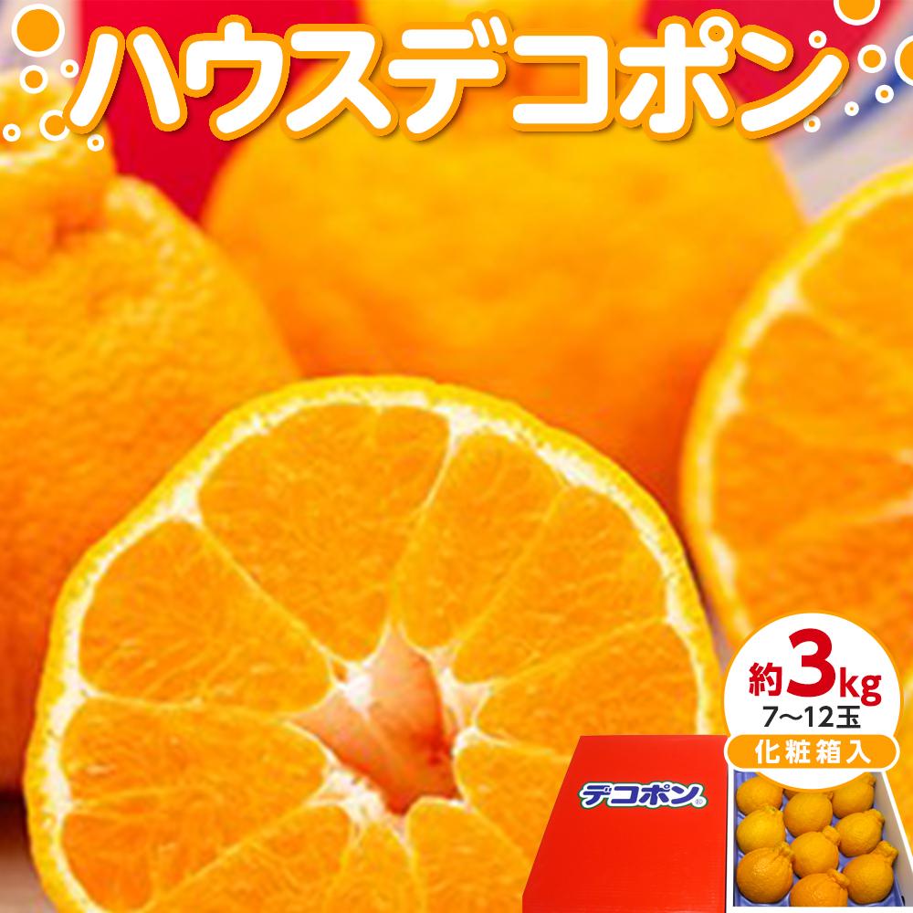 【ふるさと納税】【12月上旬頃～発送】ハウスデコポン 約3kg 化粧箱入 贈答用 | デコポン ハウスデコポン くだもの 果物 フルーツ 柑橘 みかん スイーツ 特産品 デザート 旬 期間限定