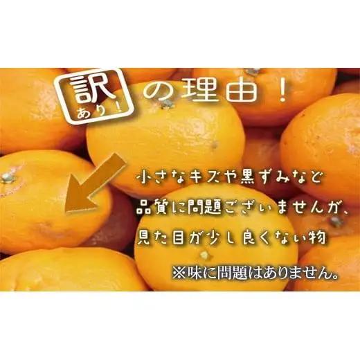 【 ぽんかん 】 ぽんかん早期予約訳あり5kg