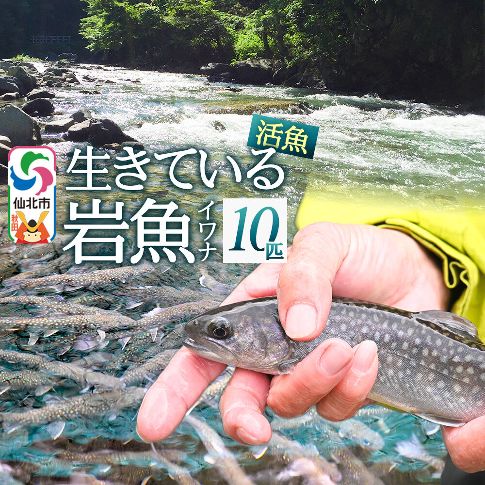 【ふるさと納税】生きている岩魚（イワナ）10匹 酸素を入れて袋詰め【発送可能エリア：東北・関東・信越】長四郎