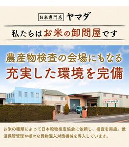 【令和7年産含む】 近江ブレンド米 5kg 愛荘町産 白米 精米 米 お米 単一原料米 ブランド米 銘柄米 国産 ご飯 白飯 ゴハン 食品 支援 支援品 生活支援 生活応援 送料無料 AY001 [A