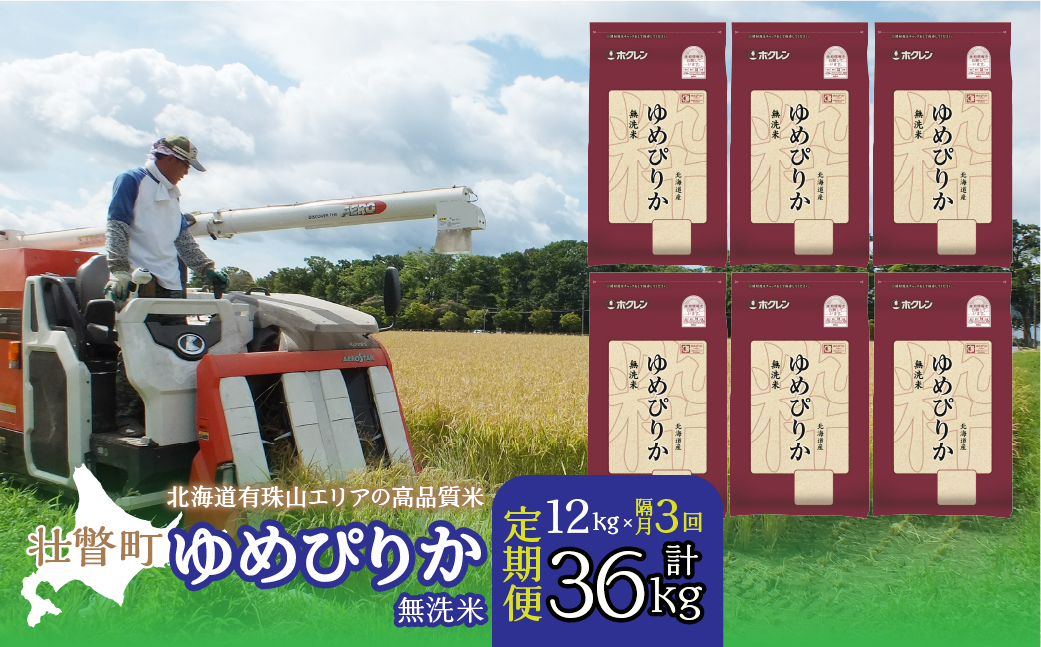 【令和6年産 隔月3回配送】（無洗米12kg）ホクレンゆめぴりか（無洗米2kg×6袋） SBTD057