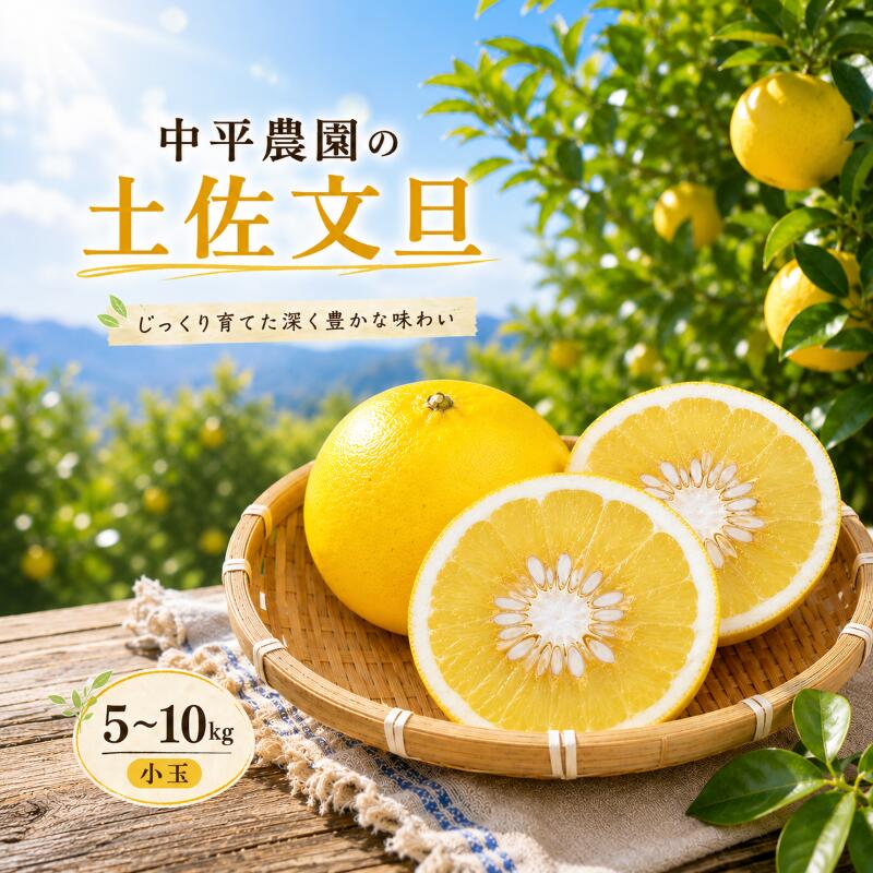 【ふるさと納税】 土佐文旦 5kg 10kg 家庭用 文旦 ぶんたん ブンタン 柑橘類 果物 フルーツ 高知県産 特産品 みかん 柚子 旬 冬 ギフト 贈り物 お歳暮 お取り寄せ 産地直送 果汁 ビタミンC 健康 美容 和菓子 デザート 中平農園 宿毛市 高知県