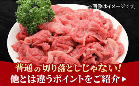 【全3回定期便】すき焼き しゃぶしゃぶに！佐賀牛 赤身とバラ肉の切り落とし 600g（300g×2P） 吉野ヶ里町/NICK’S MEAT[FCY014]