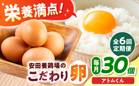 【全6回定期便】安田養鶏場の卵 アトムくん 30個入り 横須賀市 産地直送 割れ保証付き たまご 黄身 濃厚 卵 玉子 タマゴ 鶏卵 【安田養鶏場】[AKHN010]