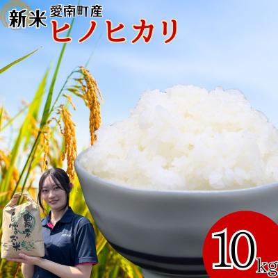 ふるさと納税 愛南町 新米 令和7年産 ヒノヒカリ 10kg 愛南町 青果市場