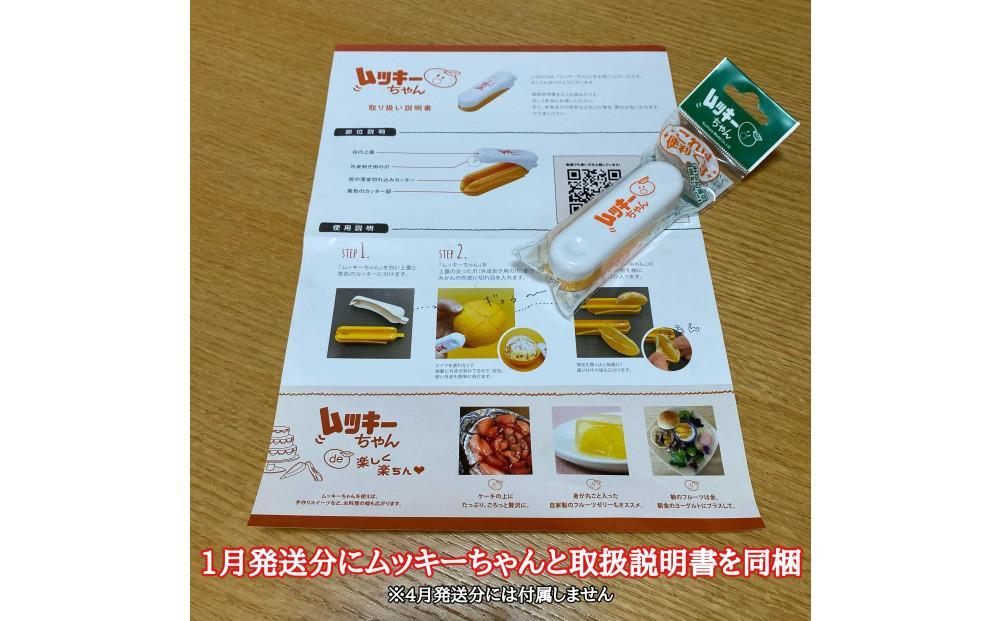 1・4月発送 全2回 定期便 紅はっさく マニア 貯蔵 ＆ 木成完熟 傷あり 二級品 4 ～ 6玉 化粧箱 和歌山 有田 南泰園   	BS188_イメージ5