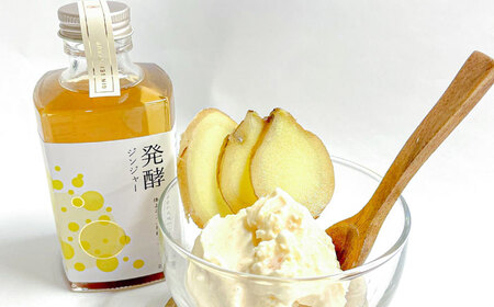 ピリっと生姜にスパイスの甘い香り！身体にも心にも優しい発酵ジンジャーシロップ！発酵ジンジャー（2本セット） スパイス 炭酸 シロップ[ARDA010]