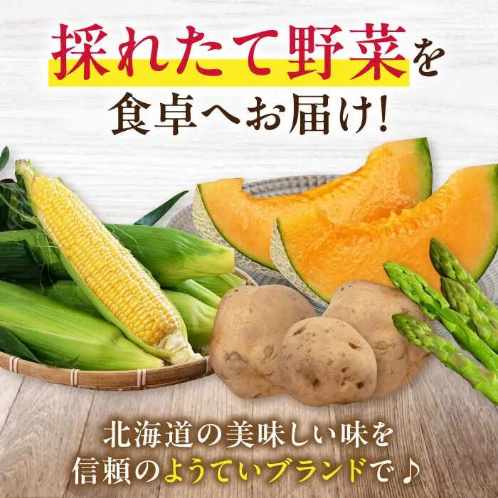  【先行予約】食べ比べセット 10kg [AJAK033] じゃがいも 