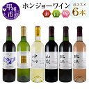 【ふるさと納税】甲州市 ワイン ホンジョーワイン 飲み比べ 6本 セット 酒 日本 赤 ミディアムボディ ライトボディ ロゼ 白 辛口 岩崎醸造 勝沼 マスカットベリーA カベルネソーヴィニヨン ブレンド 山梨県 母の日 父の日 記念日 ギフト (MG) 【E-624】