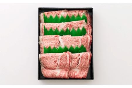 日本一美味しい黒毛和牛「宮崎牛」の肩ロース 550g 内閣総理大臣賞4大会連続受賞のブランド牛 [国産牛 牛肉 お肉 日本産 高原町産 ギフト 贈答] 特番384