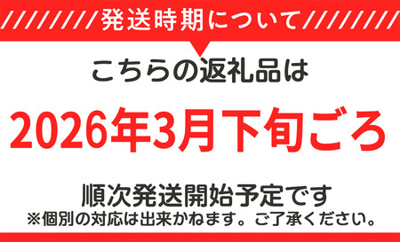 【 先行予約 】筑波サーキット 会員走行チケット 4輪 3枚セット【 2026年4月 ～ 2027年3月末まで使用可能 】