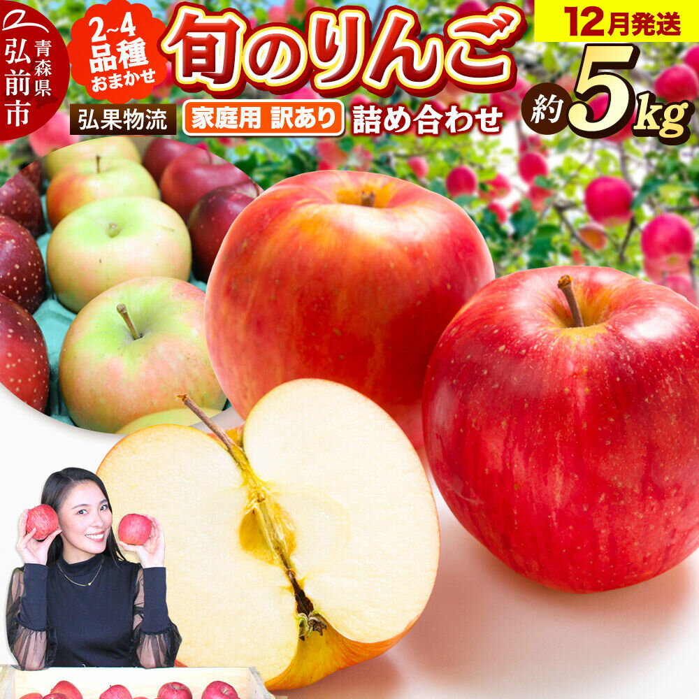 【ふるさと納税】【26年12月発送】りんご 家庭用 訳あり 旬のりんご 品種おまかせ 約5kg 2品種〜4品種 [アップル おいしい りんご 果実 果物 美味 林檎]
