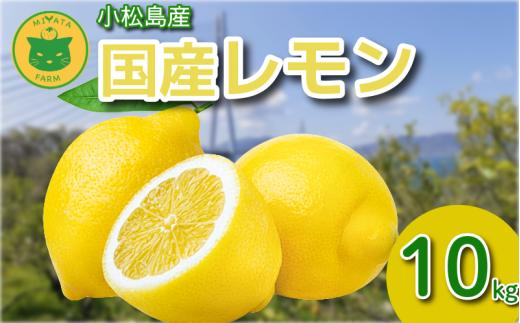 レモン 10kg 秀品 2025年10月順次発送 国産 レモン 檸檬 れもん ワックス不使用 防腐剤不使用 柑橘 果汁 フルーツ 果実 徳島 小松島市