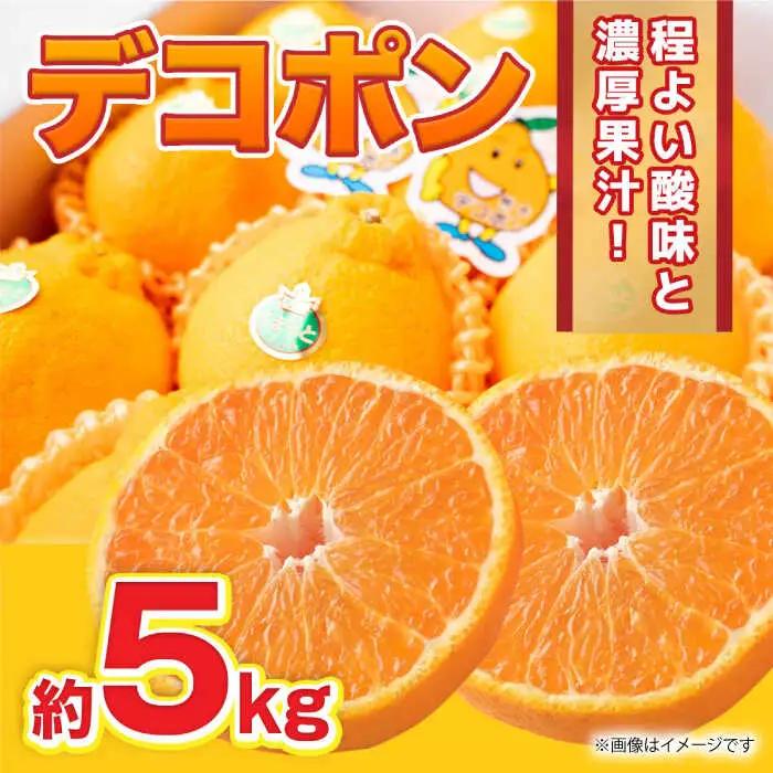 【先行予約】12月～2月発送 デコポン 約5kg 果物デコポン柑橘ZBG059