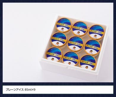 初恋の味　アイスヨーグルトセット 【 アリマン 菓子 デザート 詰め合わせ アイス ヨーグルト 】[E2903]