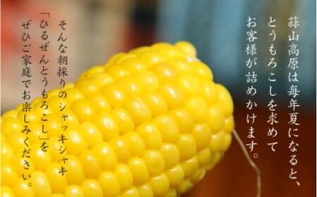 蒜山高原 とうもろこし イエロー20本 / 数量限定 人気 朝採り 新鮮 スイートコーン トウモロコシ 高糖度 甘い 夏野菜 岡山県 真庭市 産地直送 ギフト  【配送不可地域：北海道・沖縄県・離島】