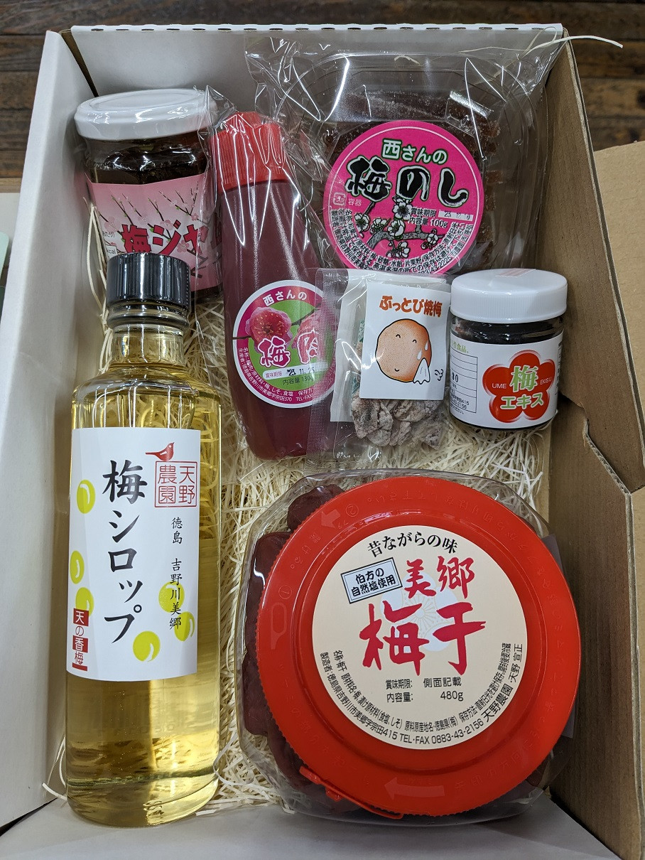 
            新・美郷梅づくし
          