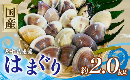 九十九里産冷凍はまぐり約2kg はまぐり 蛤