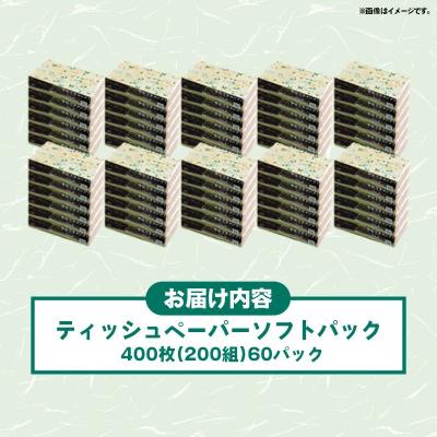 ふるさと納税 甲佐町 ティッシュペーパーソフトパック　400枚(200組)60パック【ZA】 |  | 03