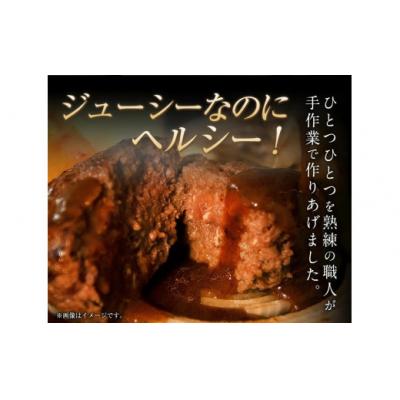 ふるさと納税 氷川町 手作りハン馬ーグ 100g×10個 馬肉100%配合!【熊本肥育】 |  | 01