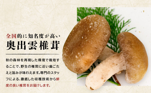 秋の森林を再現した環境で栽培することで、野生の椎茸に近い歯ごたえと旨みが味わえます。