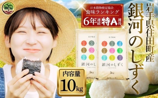 岩手県産 精米 銀河のしずく 10kg 小分け / 2025年産 令和7年産 お米 ブランド米 白い 艶 冷めても おいしい 白米 国産米 ギフト 贈り物 送料無料 ふるさと納税