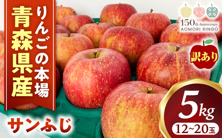 【訳あり】 青森県産りんご サンふじ 約5kg 12月発送 りんご