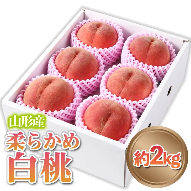 山形産 柔らかめ 「白桃」 秀品 約2kg (5玉～8玉) 【令和7年産先行予約】FS24-081 くだもの 果物 フルーツ 山形 山形県 山形市 2025年産