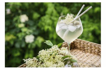 Kocomo’s エルダーフラワーフィズ 炭酸飲料 200ml×10本 _S123