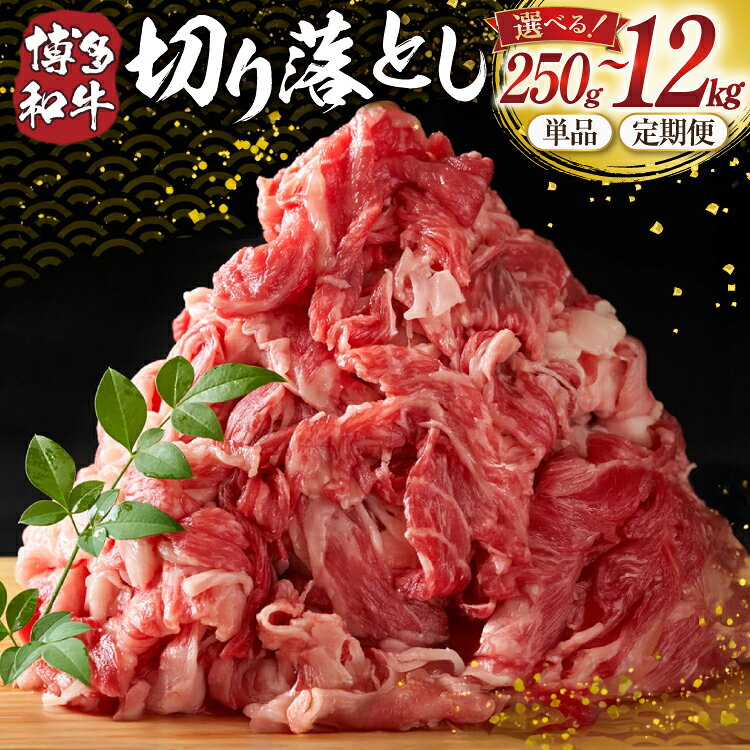 【ふるさと納税】 訳あり 博多和牛 切り落とし 250g 500g 1kg 5kg 選べる量 1回 3回 6回 12回 発送回数 [MEAT PLUS 福岡県 宇美町 um40azp010045] 牛肉 切落し 肉 肩肉 バラ肉 和牛 1パック 5パック 10パック